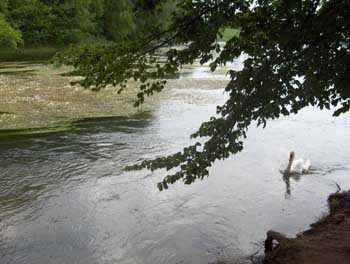 loire (142).jpg